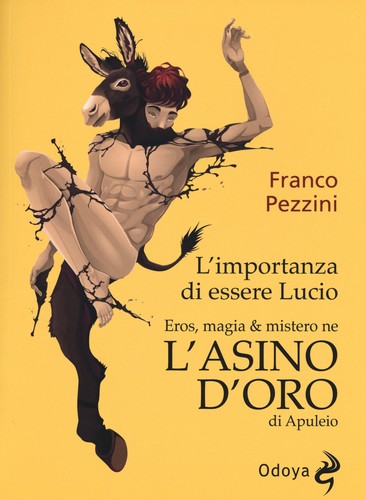Importanza essere lucio - l'importanza,