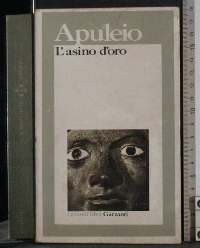 Grandi libri asino - grandi, l'asino