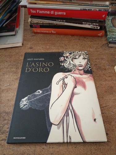 Asino oro milo manara - asino,